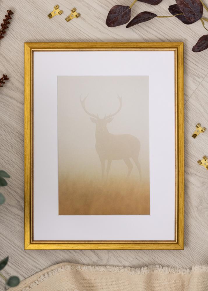 Jämtlands Ramfabrik Frame Marisa Acrylic Glass Gold 50x70 cm