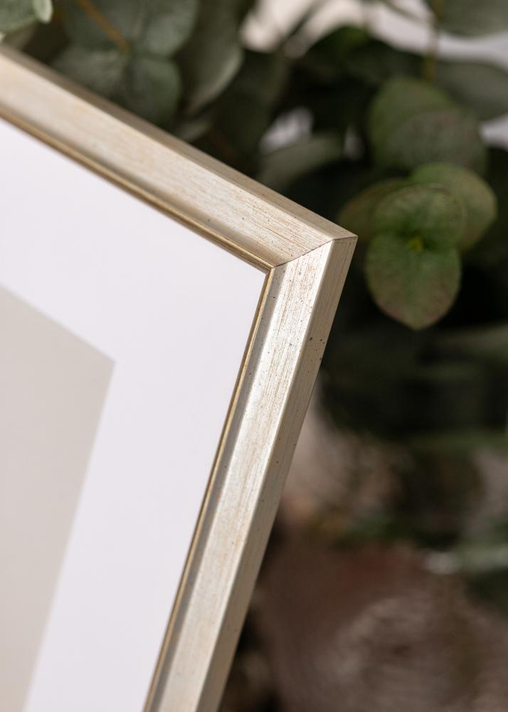 Jämtlands Ramfabrik Frame Marisa Acrylic Glass Silver 50x70 cm