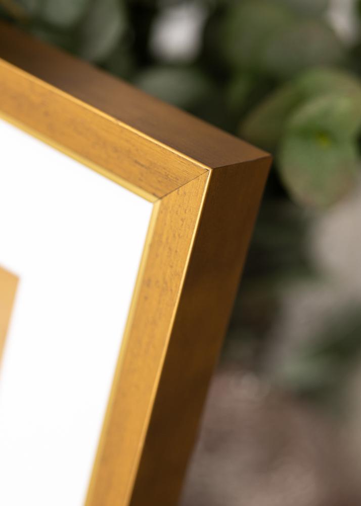 Jämtlands Ramfabrik Frame Brema Acrylic Glass Gold 29.7x42 cm (A3)