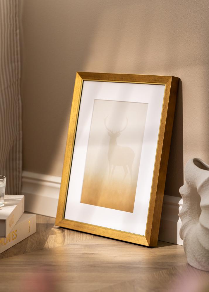 Jämtlands Ramfabrik Frame Brema Acrylic Glass Gold 29.7x42 cm (A3)