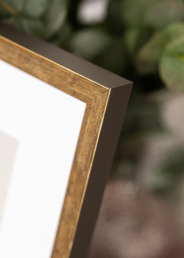 Jämtlands Ramfabrik Frame Dune Acrylic Glass Gold 70x100 cm