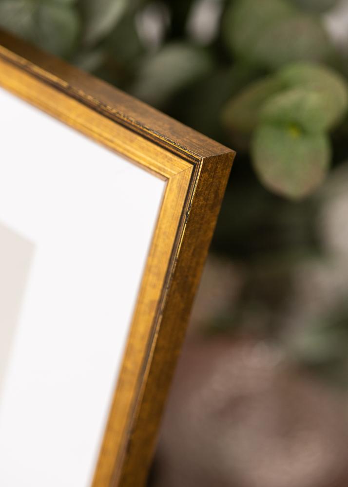 Jämtlands Ramfabrik Frame Ringa Acrylic Glass Gold 29.7x42 cm (A3)