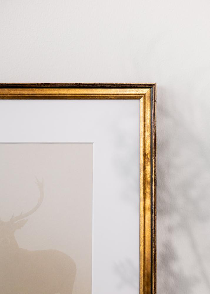 Jämtlands Ramfabrik Frame Ringa Acrylic Glass Gold 29.7x42 cm (A3)