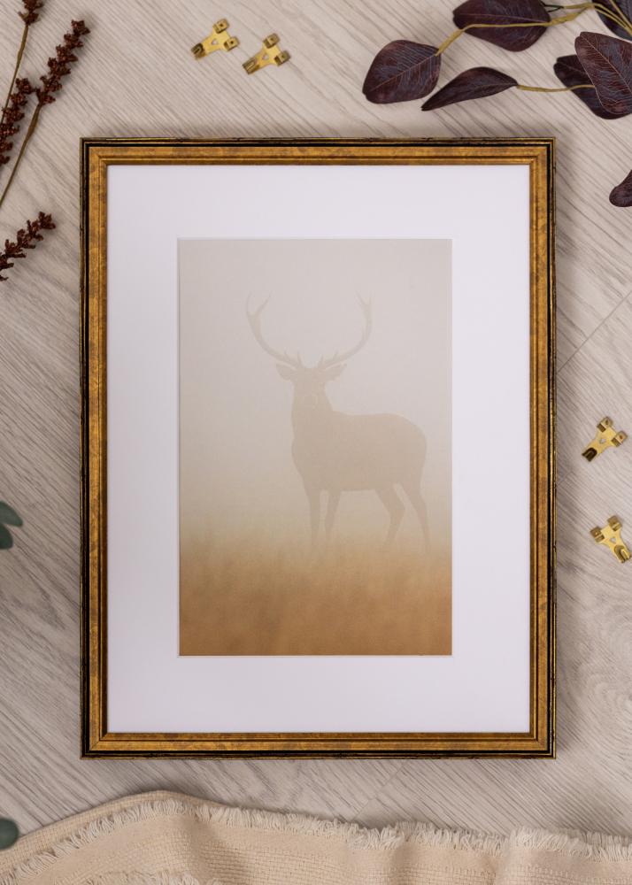 Jämtlands Ramfabrik Frame Ringa Acrylic Glass Gold 29.7x42 cm (A3)