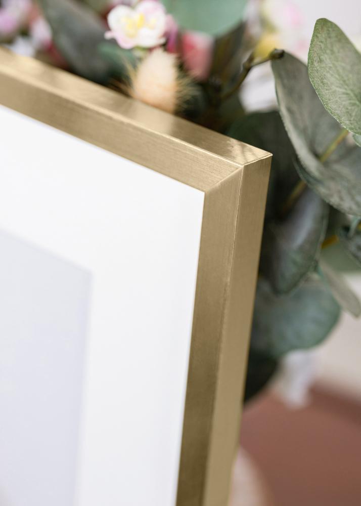 BGA Frame Trendy Acrylic Glass Gold 21x29.7 cm (A4)