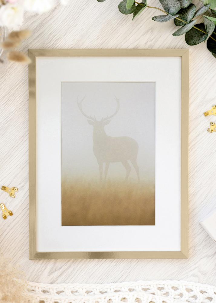 BGA Frame Trendy Acrylic Glass Gold 21x29.7 cm (A4)