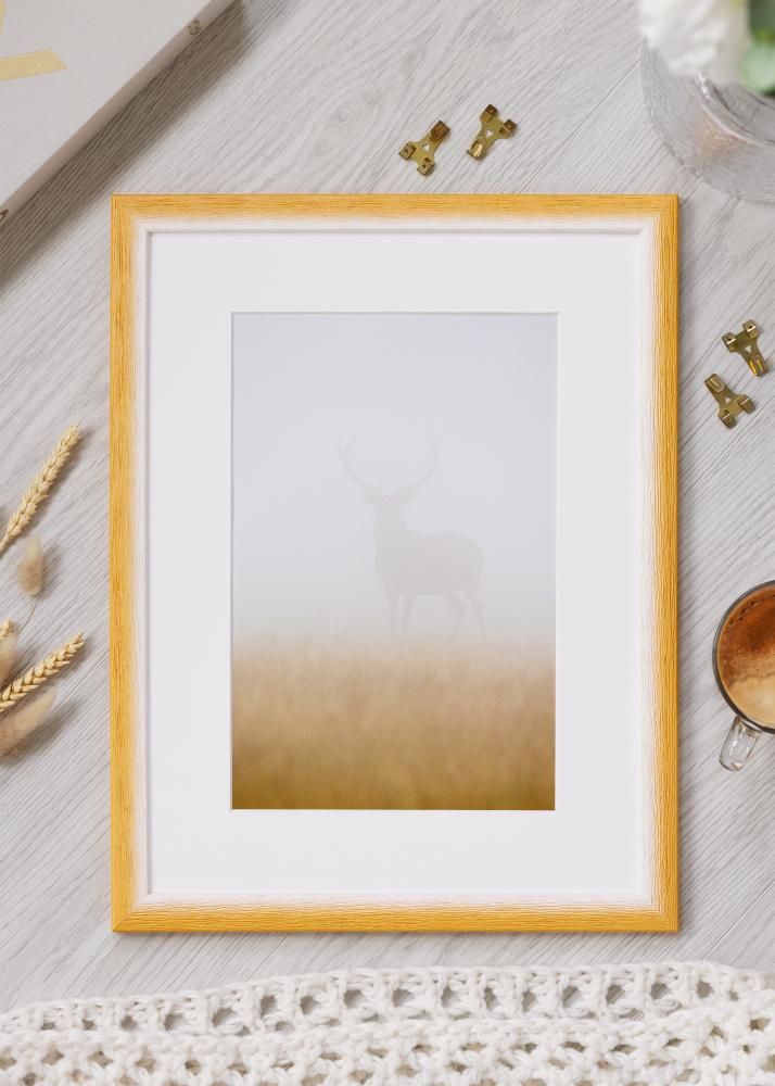 Jämtlands Ramfabrik Frame Cornwall Acrylic Glass Gold 50x50 cm