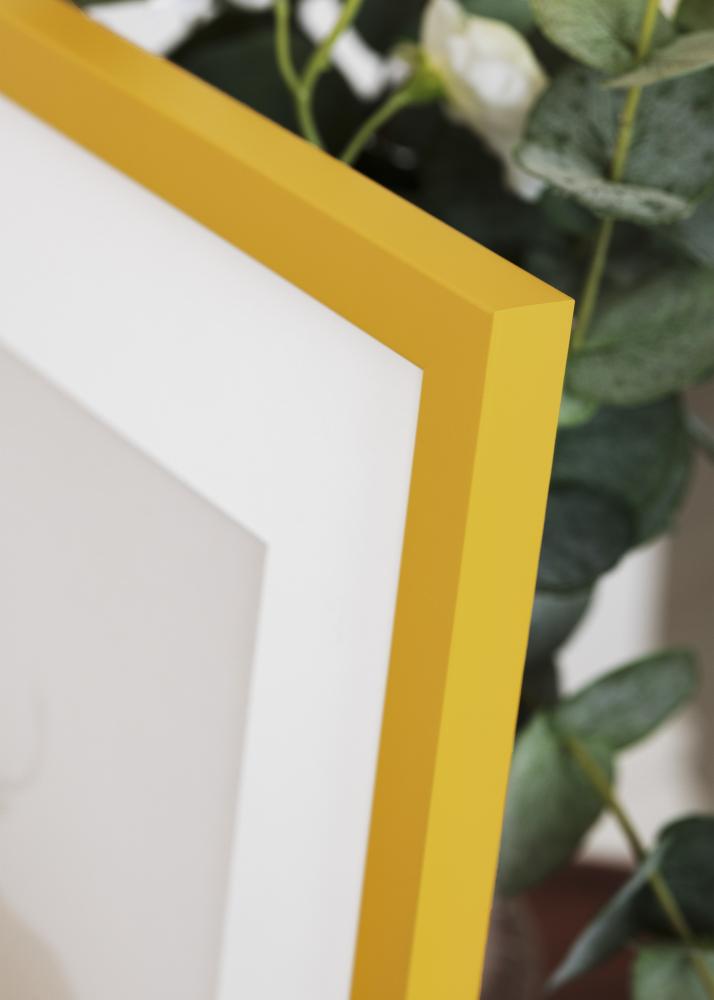 Jämtlands Ramfabrik Frame Kent Acrylic Glass Gold 21x29.7 cm (A4)