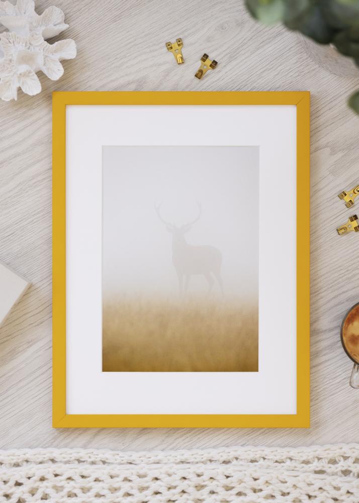 Jämtlands Ramfabrik Frame Kent Acrylic Glass Gold 21x29.7 cm (A4)