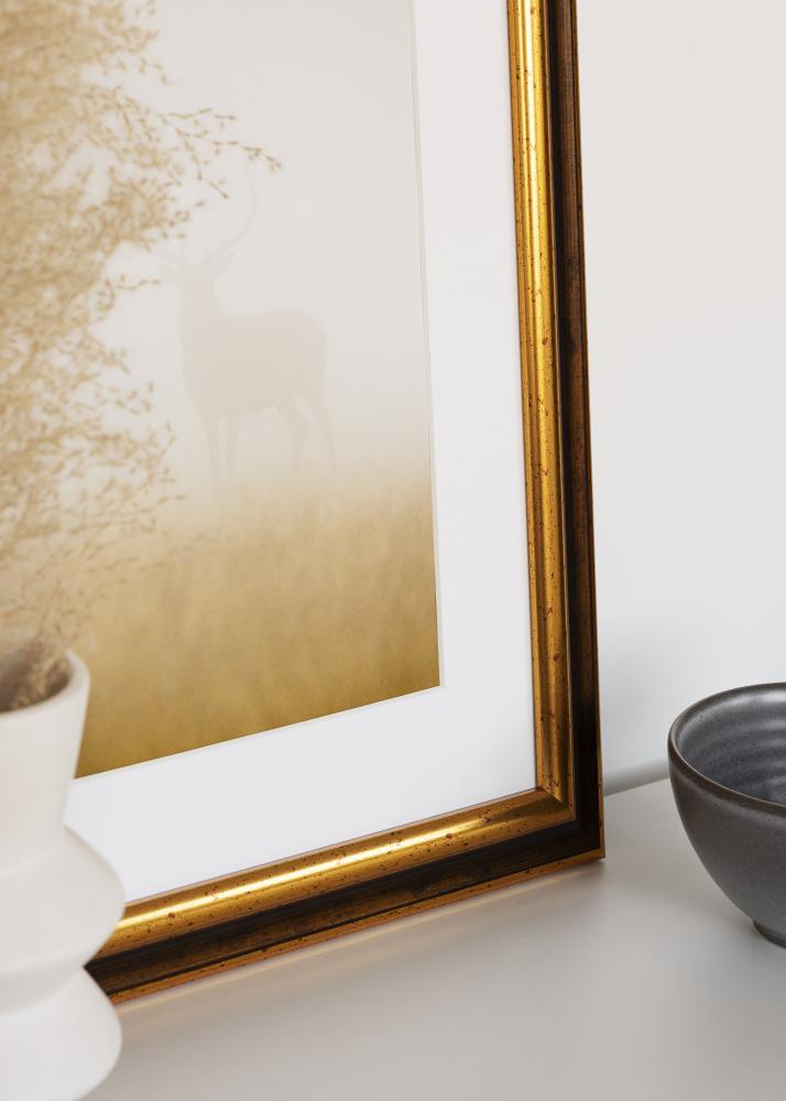 Jämtlands Ramfabrik Frame Aberystwyth Acrylic Glass Gold 42x59.4 cm (A2)