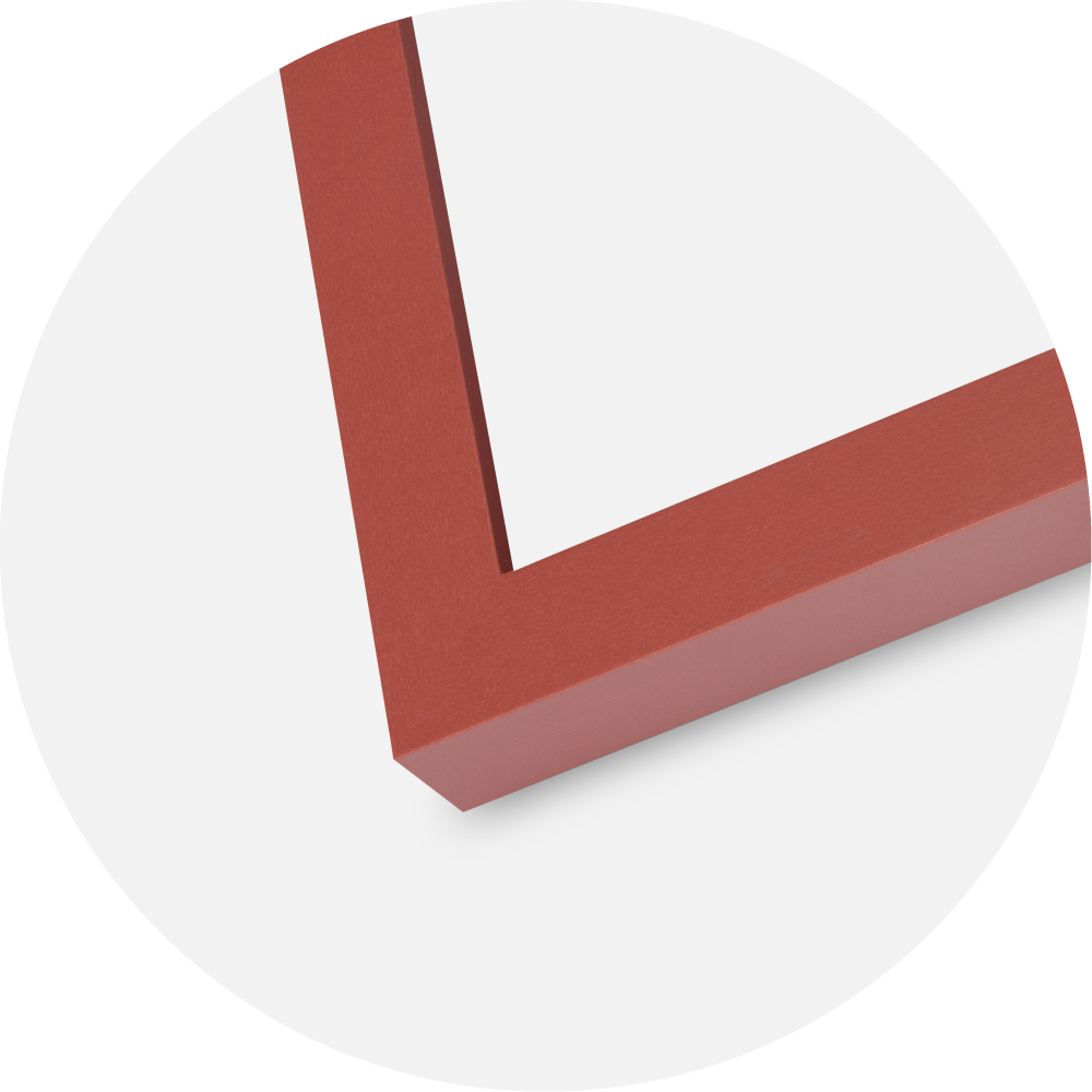 Jämtlands Ramfabrik Frame Selection Acrylic Glass Coral 29.7x42 cm (A3)