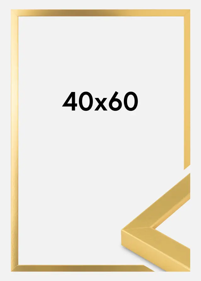 Innova Picture Frame Gold Wide 40 x 60 cm