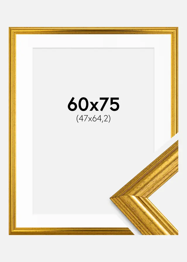 Ram med passepartou Frame Västkusten Gold 60x75 cm - Mounts White 48x65.2 cm