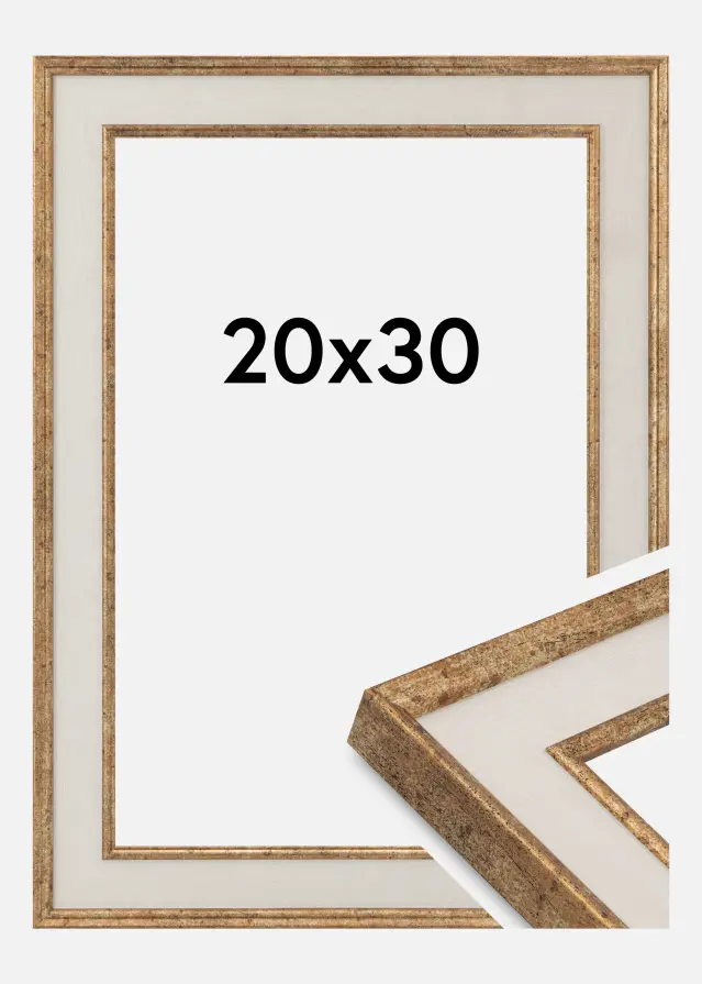 Jämtlands Ramfabrik Frame Dolly Acrylic Glass Gold 20x30 cm