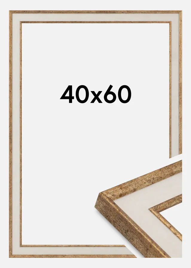 Jämtlands Ramfabrik Frame Dolly Acrylic Glass Gold 40x60 cm