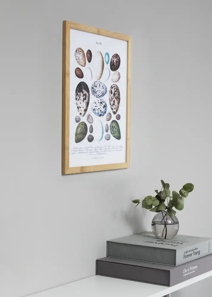 Ram med passepartou Frame Hoei Bamboo 42x59.4 cm - Mounts White 25x38 cm