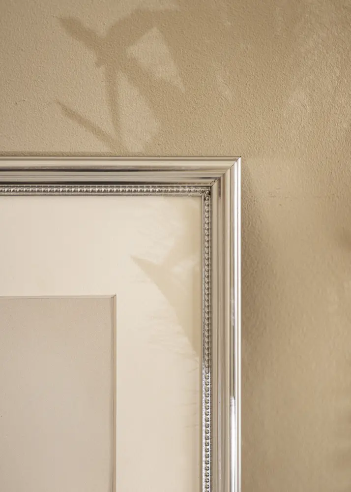 Ram med passepartou Frame Gala Silver 40x50 cm - Mounts White 29x39 cm