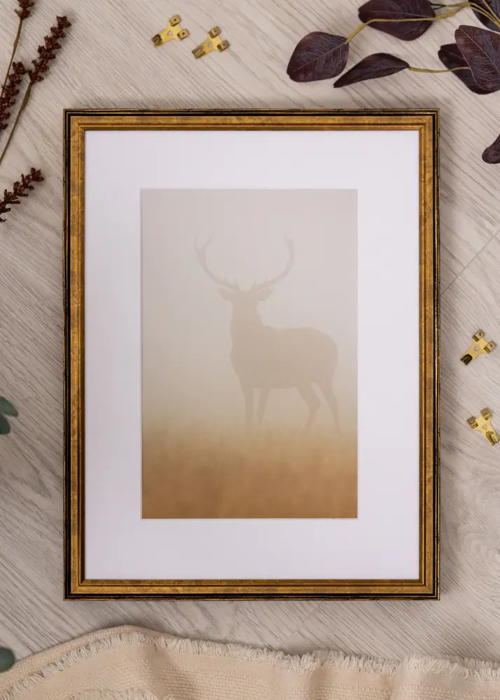 Ramverkstad Frame Ringa Acrylic Glass Gold 21x29.7 cm (A4)