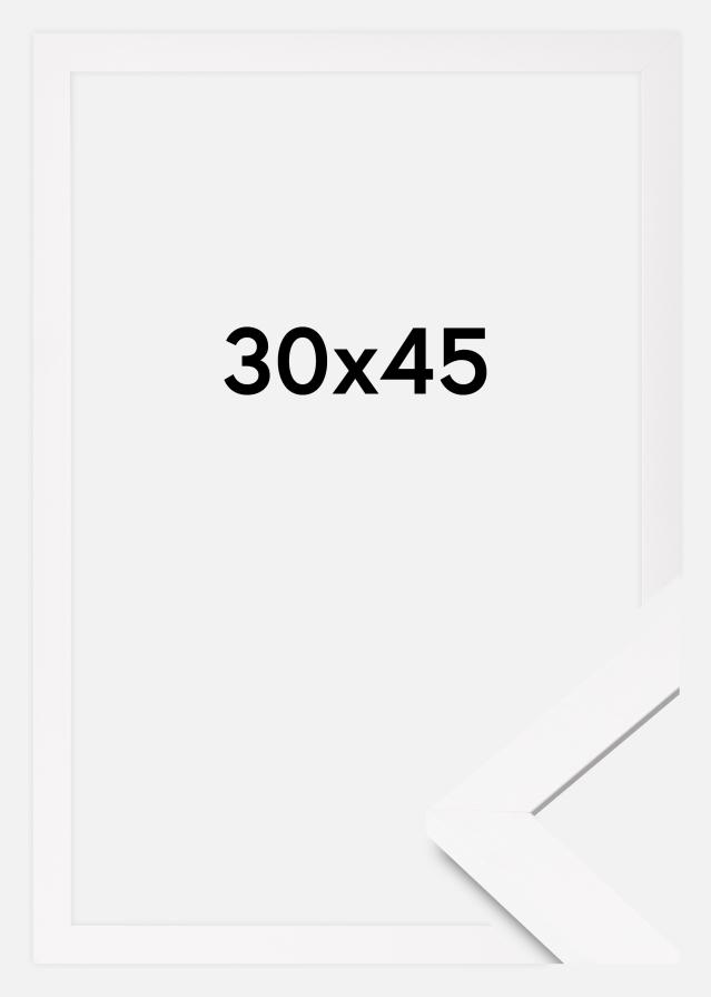 BGA Frame BGA Classic Acrylic Glass White 30x45 cm