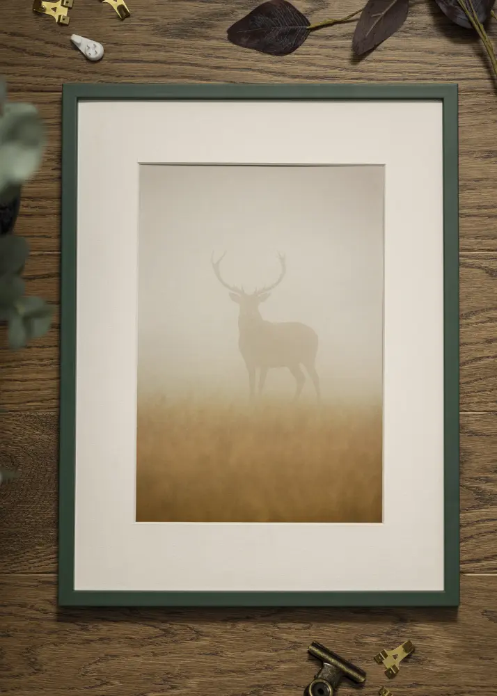 Estancia Frame E-Line Acrylic Green 30x40 cm