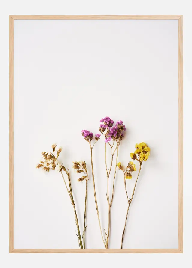 Bildverkstad Dried flowers I Poster