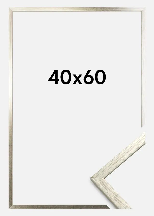 Galleri 1 Frame Edsbyn Acrylic glass Silver 40x60 cm