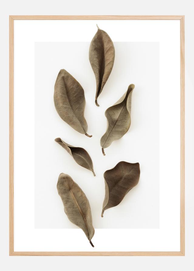 Bildverkstad Dried Leaves Poster