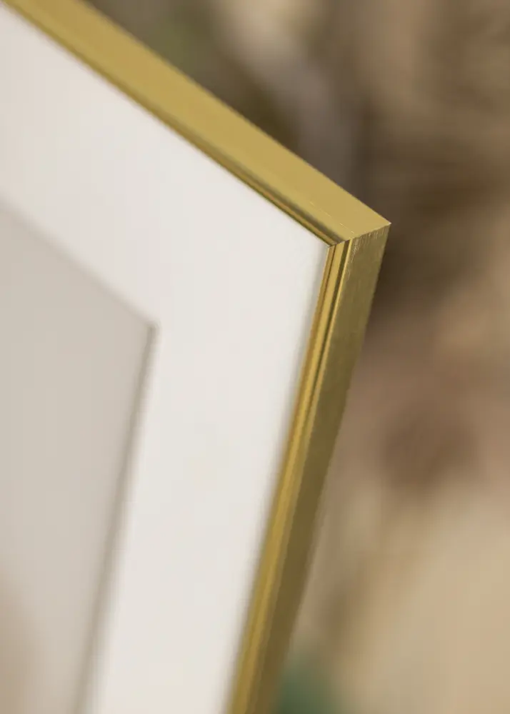 Focus Frame Can-Can Gold 40x40 cm