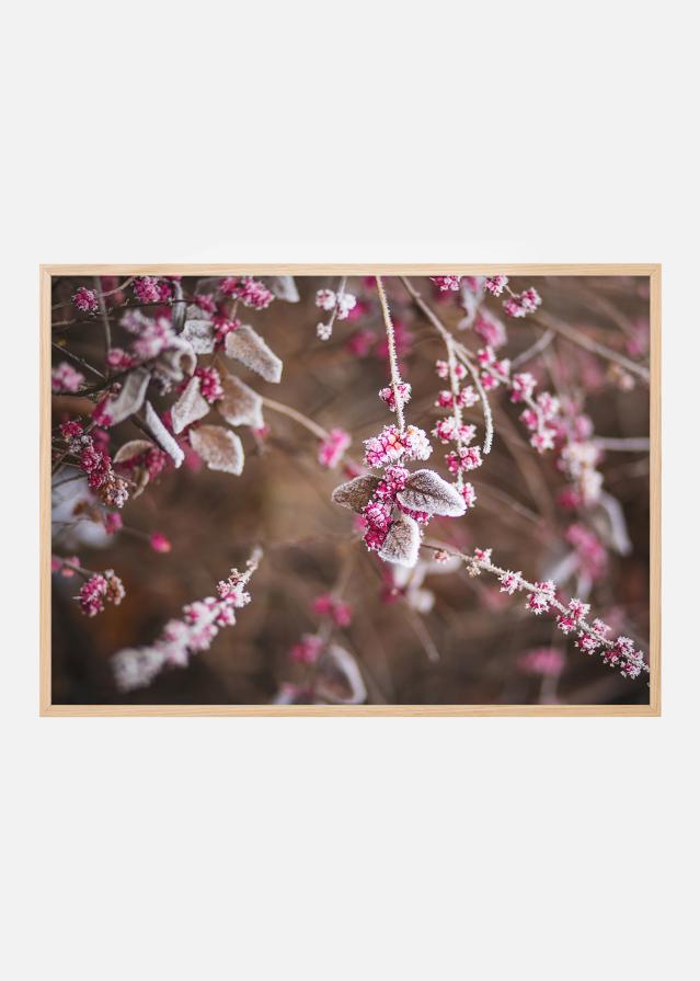 Bildverkstad Flower Close-up Poster