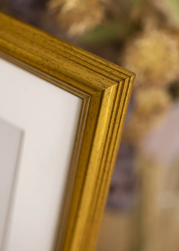 Galleri 1 Frame Västkusten Acrylic glass Gold 32.9x48.3 cm (A3+)