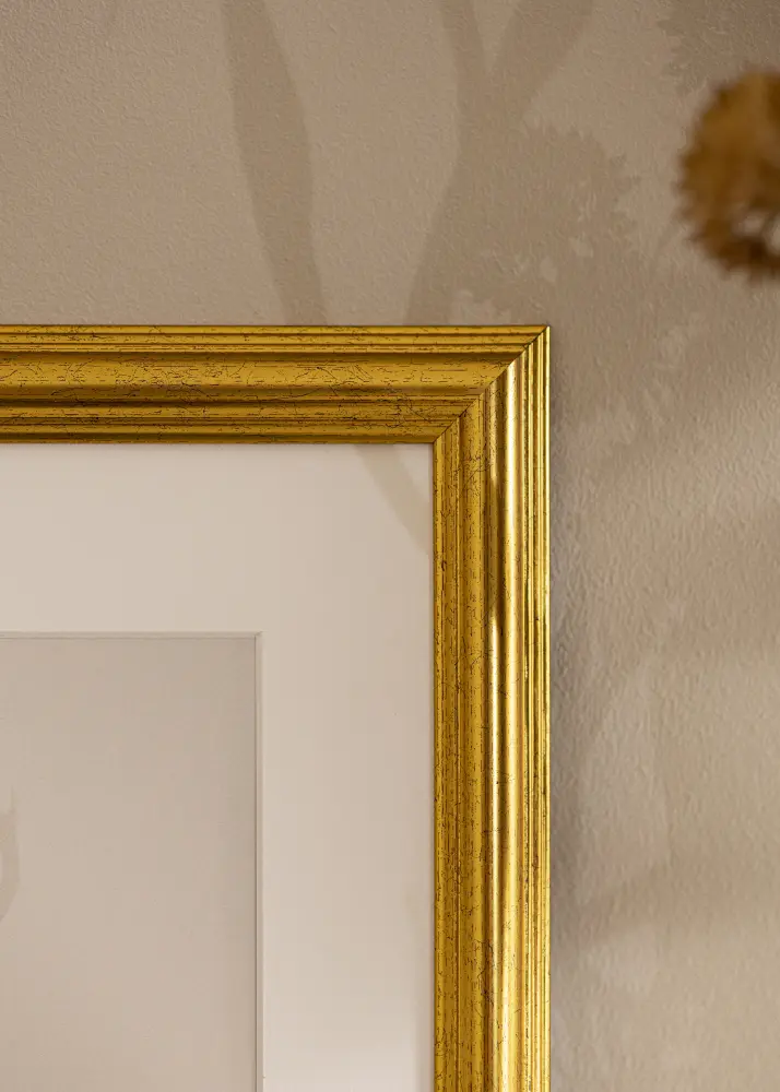 Galleri 1 Frame Västkusten Acrylic glass Gold 32.9x48.3 cm (A3+)