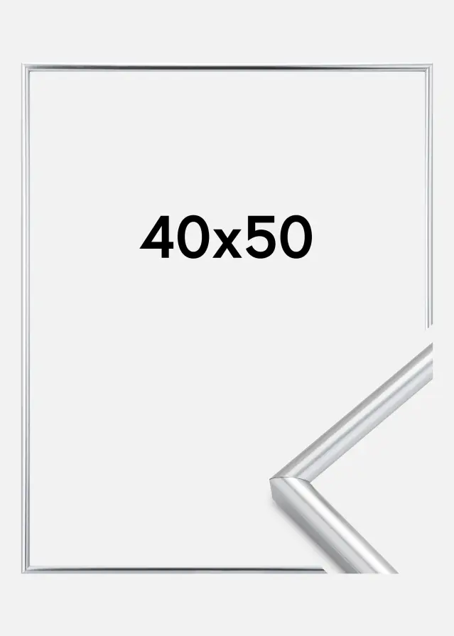 Walther Frame Galeria Silver 40x50 cm