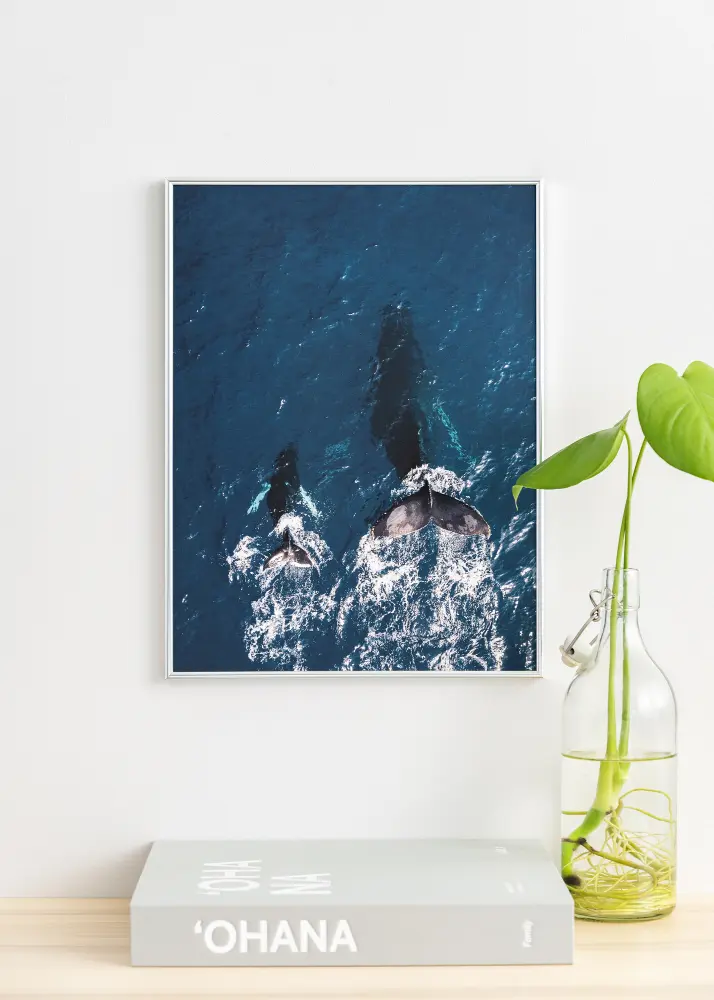 Focus Frame Can-Can Silver 21x30 cm