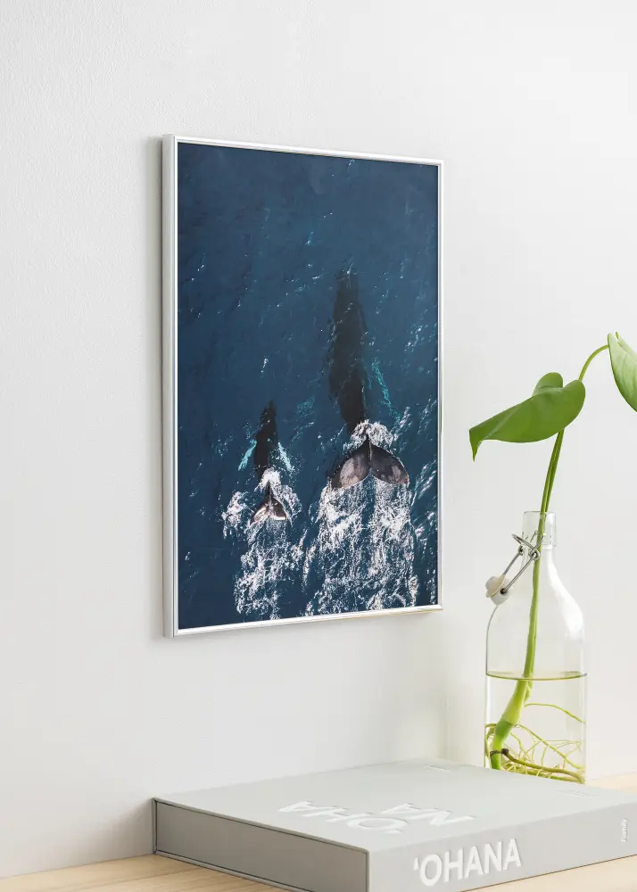 Focus Frame Can-Can Silver 21x30 cm