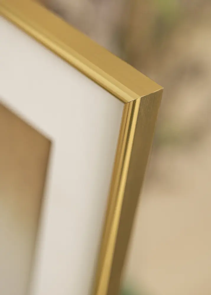 Walther Frame Galeria Gold 30x40 cm