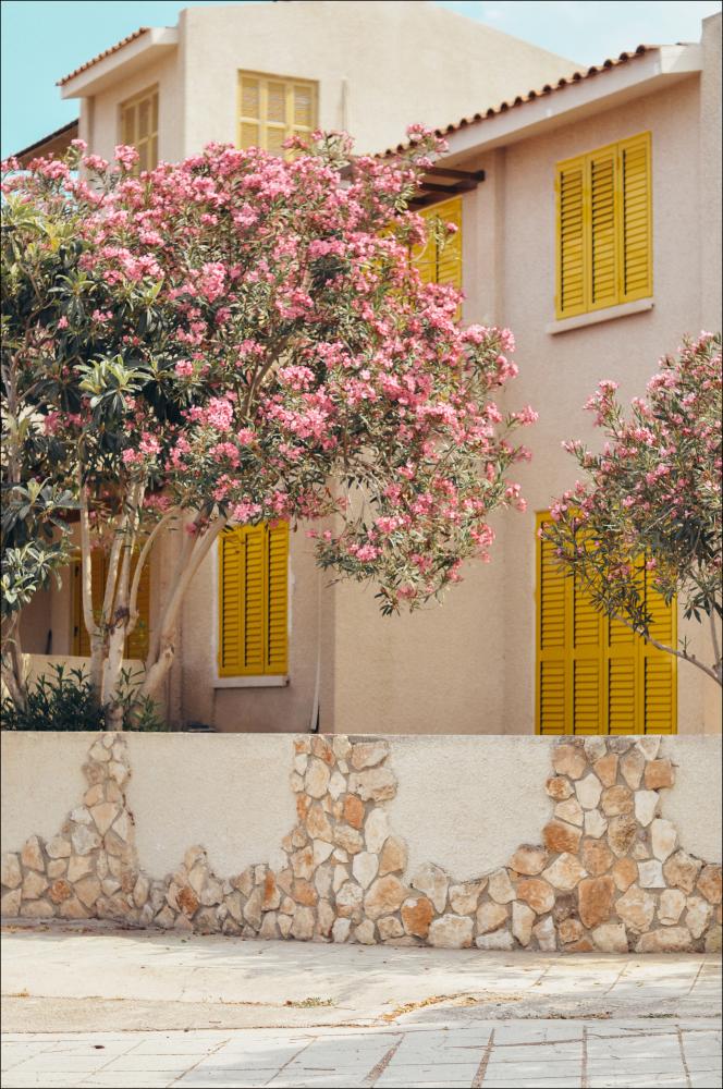 Bildverkstad Bloom Village Poster