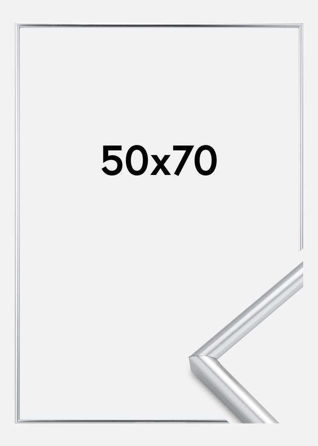 Walther Frame Galeria Silver 50x70 cm
