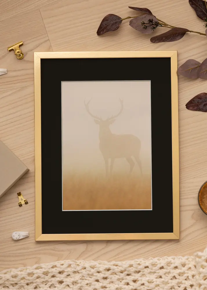 Ram med passepartou Frame Trendy Gold 40x60 cm - Picture Mount Black 32.9x48.3 cm (A3+)