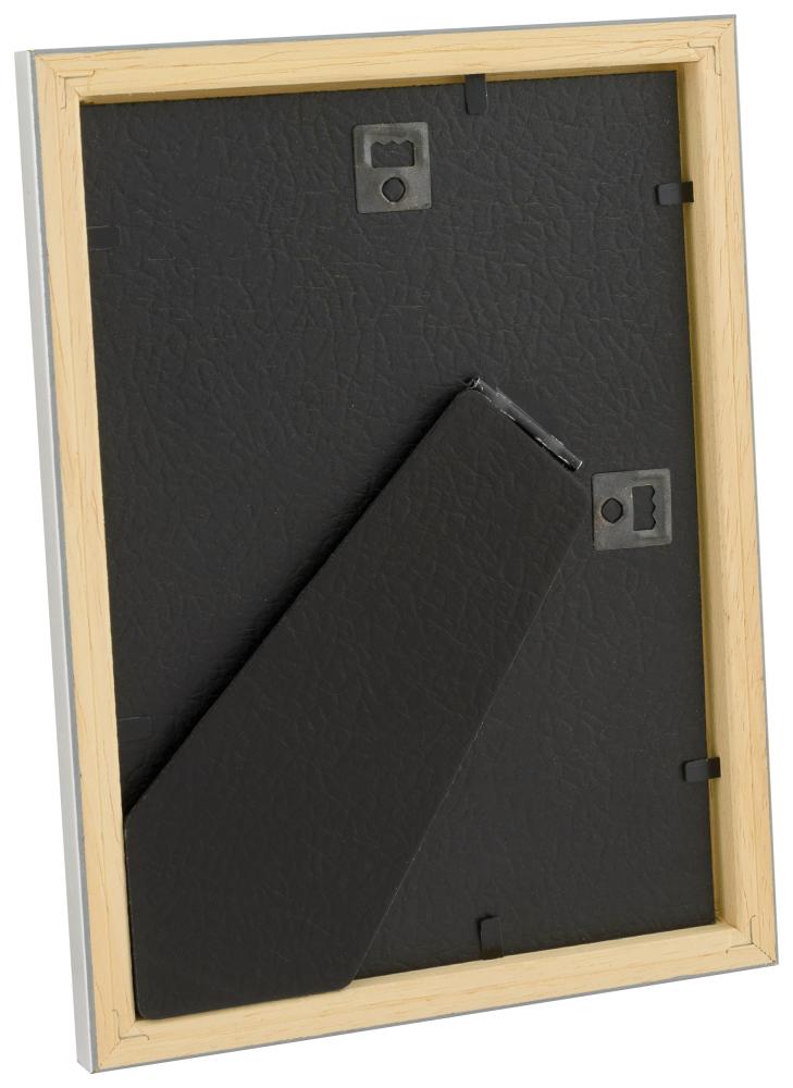 HHC Distribution Frame Slim Matt Anti-reflective glass Silver 13x18 cm