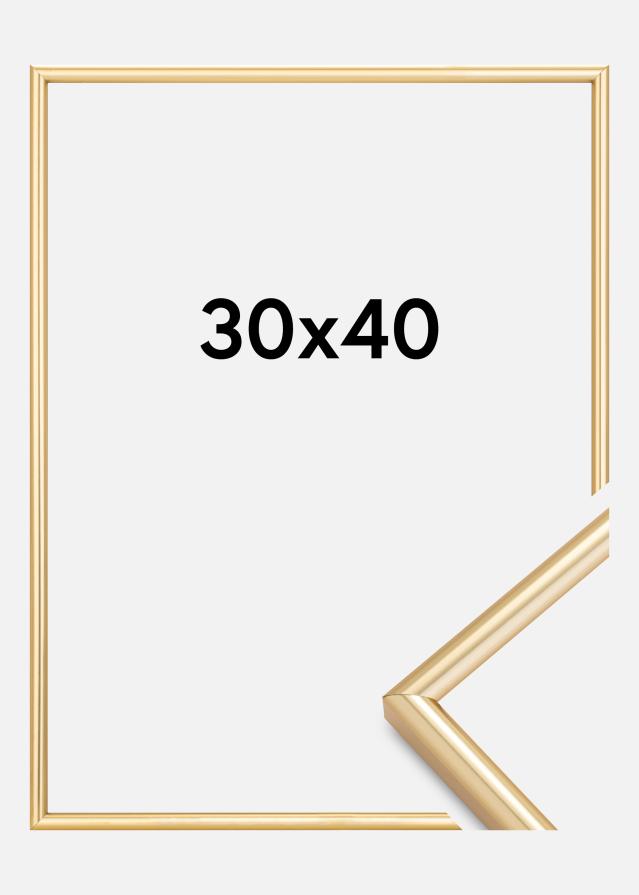 Walther Frame Galeria Gold 30x40 cm