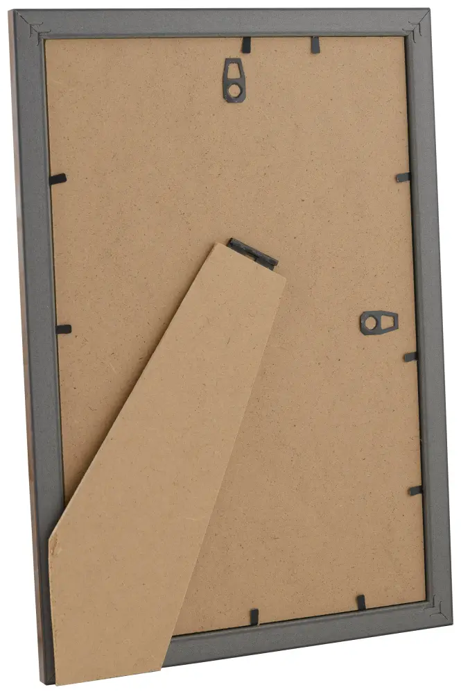 Focus Frame Tango Light root 18x24 cm