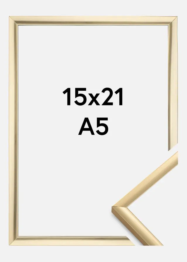 BGA Frame New Lifestyle Acrylic glass Gold 15x21 cm (A5)