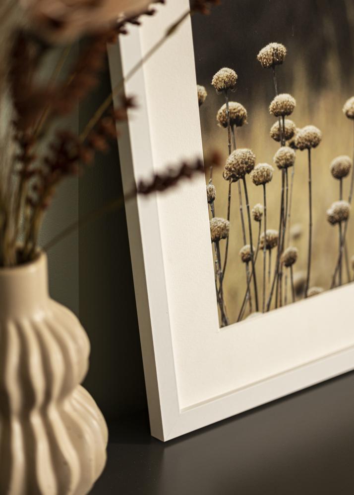 BGA Frame Selection Acrylic Glass White 40x50 cm