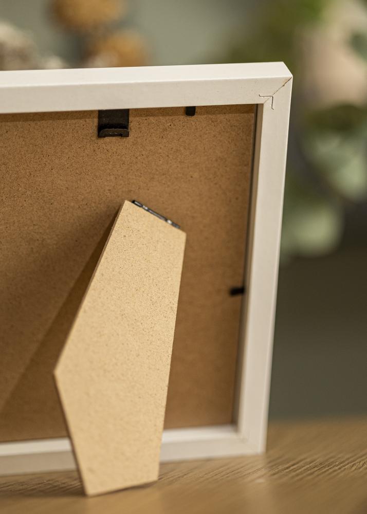 BGA Frame Selection Acrylic Glass White 21x29.7 cm (A4)