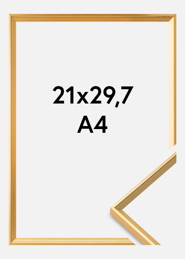 Walther Frame Desire Gold 21x29.7 cm (A4)