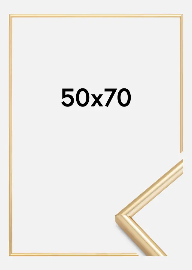 Walther Frame Galeria Gold 50x70 cm