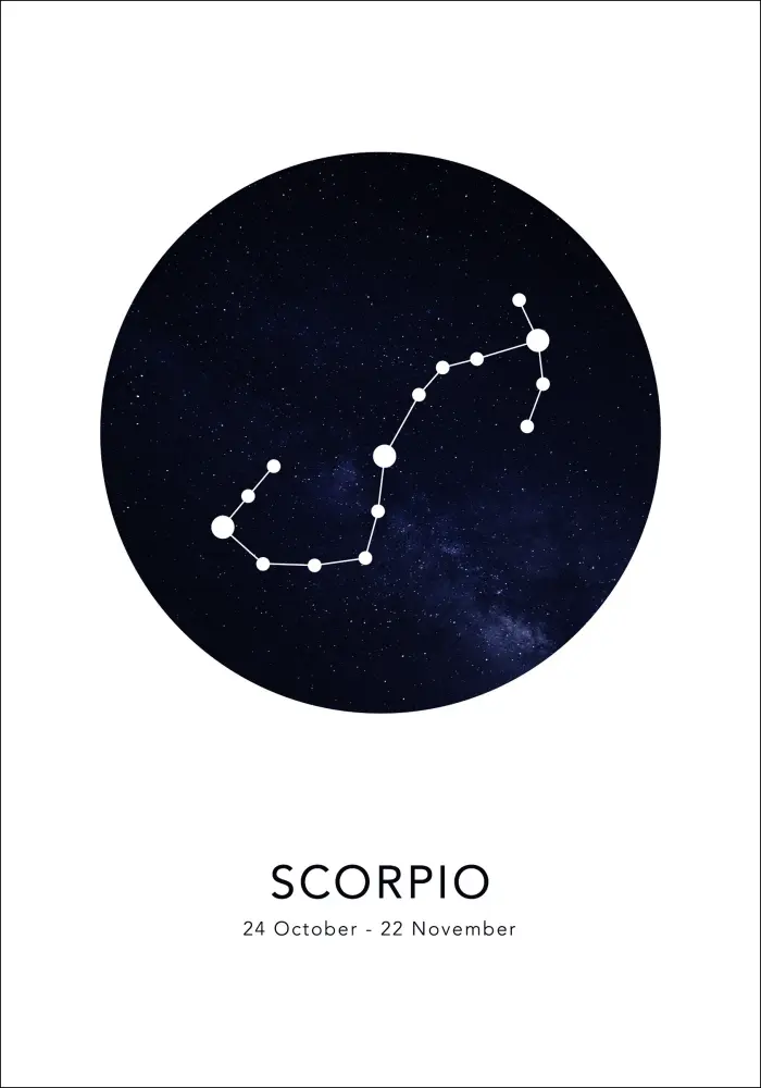 Bildverkstad Scorpio Poster