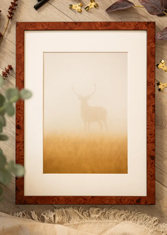 Mavanti Frame Hermes Acrylic Glass Burr Walnut 60x70 cm