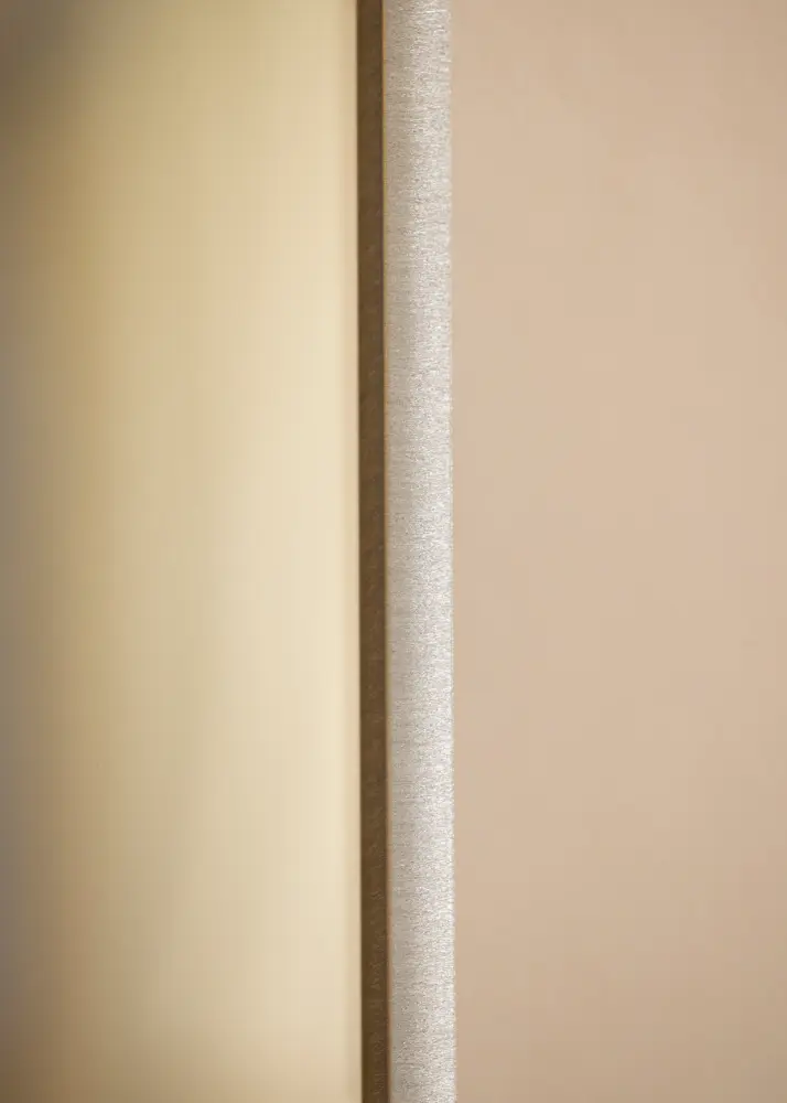 Ramverkstad Mirror Nilsen Premium Alpha Brushed Steel - Custom Size
