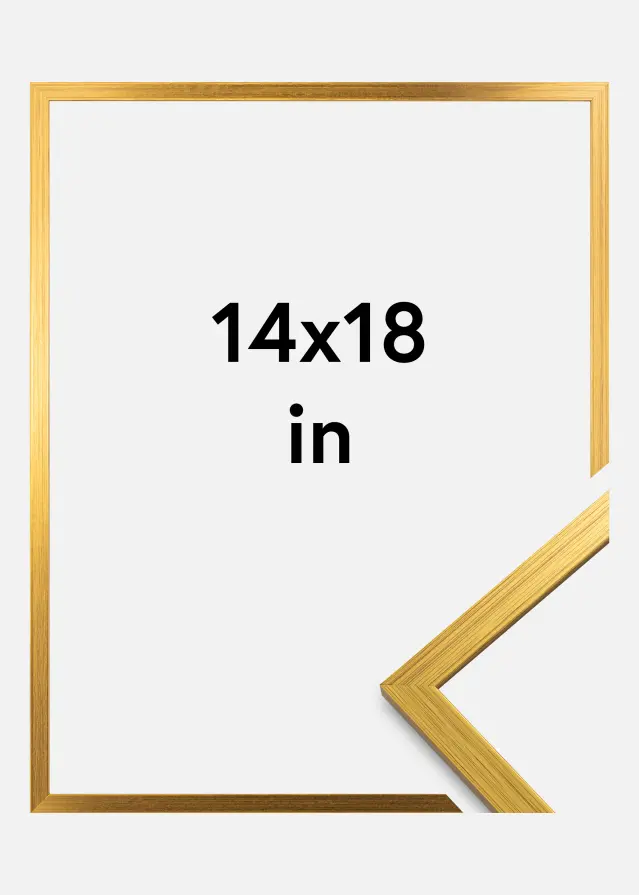 Galleri 1 Frame Edsbyn Gold 14x18 inches (35.56x45.72 cm)